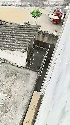 Rooftop Leverage: How a Single Pulley Conquers Vertical Loads