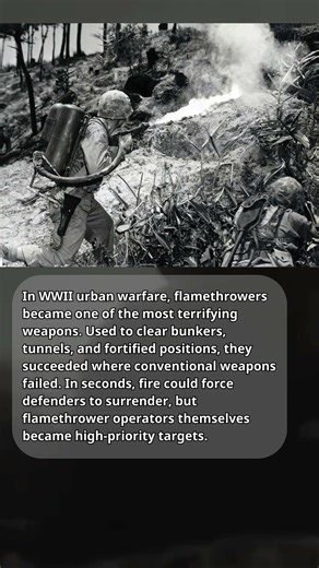 Flamethrowers in Urban Combat #short #historyshorts #war