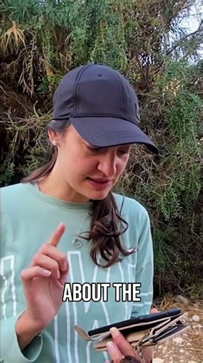 New Beginnings: God's Desert Promise Revealed! #shorts