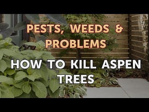 How to Kill Aspen Trees