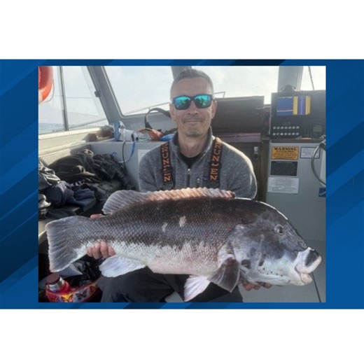 Angler sets new tautog record in Rhode Island with 23-pound catch