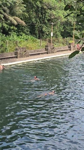 Nadando boca arriba 😱 #nature #shortsviral #shortvideo #semanasanta #video #river #wow