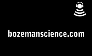 The Reproductive System