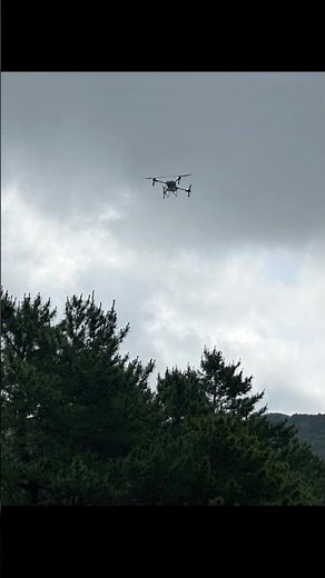 [Collaboration with Local Government] Drone-based Pine Beetle Control: Protecting Coastal Forests...