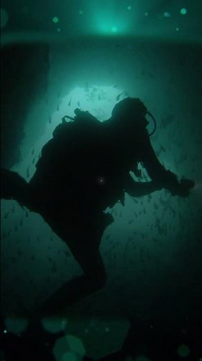 Wiley, where ideas ignite and impact endures #knowledge #innovation #science #technology #ai