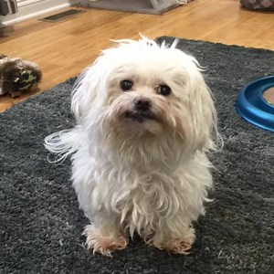 Tanner’s ready for a spa day! | Tanner Rants