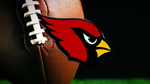 Canfield High School Football Preview