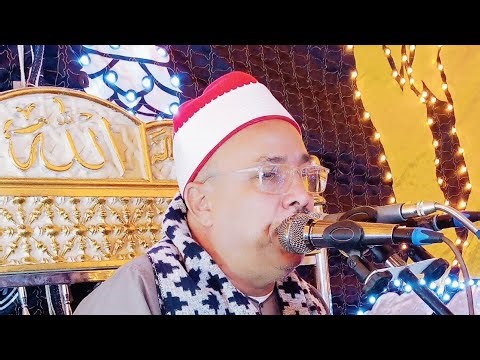 سورة هود تألق طبلاوي الصعيد الشيخ جمعة القوصي زفاف احمد جمال حامد ليلة قلبا ملوي المنيا 28_8_2025