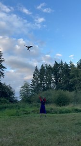 ⚔️🏰 Step Back in Time! 🏰⚔️ Join us August 22, 23 & 24 for a weekend of medieval fun at The Raptors! Join us for a night of medieval combat, majestic birds of prey, archery, medieval magic and so much more for the whole family! ✨ 📅 Special evening event, from 6-9PM, August 22nd-24th. 📖 Details & tickets: https://the-raptors.com/events/medieval-knights #medievalknights #islandraptors #birdsofprey #birdsofinstagram #medieval #backintime | The Raptors