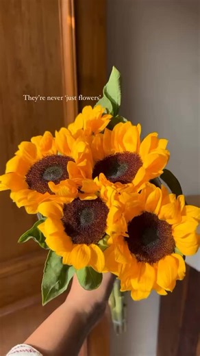 Sunflower obsessed on Instagram: "“Sunshine, petals, and positive vibes only 🌻💛 Follow @sunflower_obs and for more golden moments like this! ✨ Let the blooms brighten your day 💐 #sunflowerlove” #sunflower #sunflowers #sunflowerfield #sunflowerbouquet #sunflowerseason #sunflowersofinstagram #sunflowervibes #sunflowerlover #sunflowerphotography #flowerpower #flowerstagram #bloomingbeautiful #yellowvibes #naturelovers #flowersofinstagram #girasoles🌻 #girasol #aestheticfeed #viralpost #explorepa