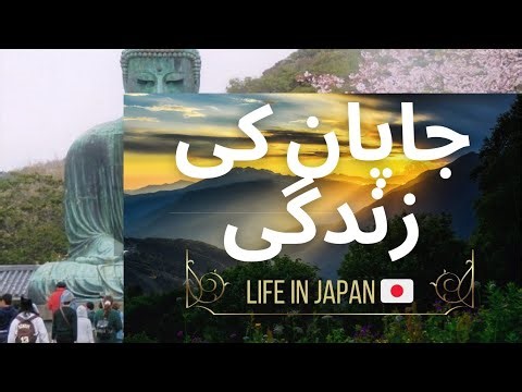 Amazing Japan Lifestyle | Culture, Food, Travel & Daily Life"
