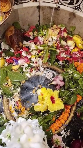 ଆଜି ନାଗଲ ଚତୁର୍ଥୀ ଅବସରରେ ମହାଦେବ ଙ୍କ ଦର୍ଶନ