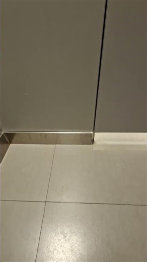 Loud Plops Public Toilet 11