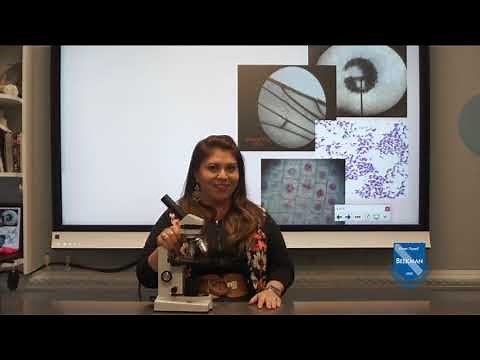 Understanding the Microscope for High School Science Labs