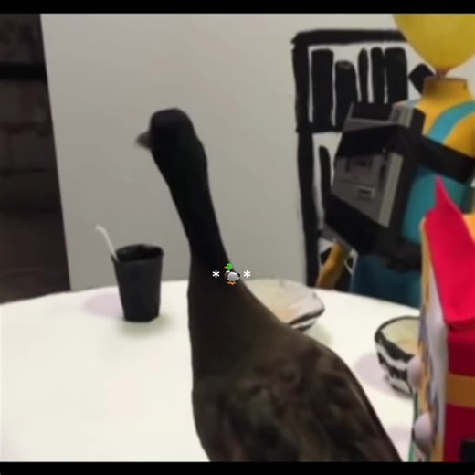 I don't find more🥲| #dhmis #bts #behindthescenes #donthugmeimscared #fyp #fy #fypシ