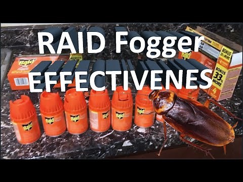 Millions of Roaches Killed: Is RAID Fogger Effective? Tenants Fled #roaches #landlord #exterminator