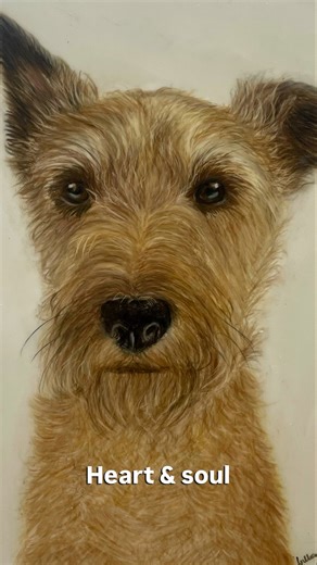 Drawing Monty the Irish Terrier | coloured pencil drawing | realistic