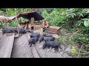 Full-video: 46 Days OFF GRID LIVING Building House Farm - Survival Instinct, Wilderness Alone