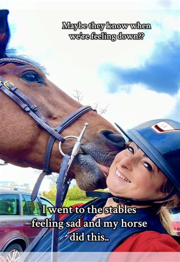 I was feeling really sad today after losing someone close to me and my horse has literally never done this before, I think he was showing me affection.. is this what this is?? Omg I can't deal with it.. it's actually too cute. Is this him being affectionate ?? 😭😭❤️ #horses #lovehorses #horsesoftiktok #horsegirl #horseriding