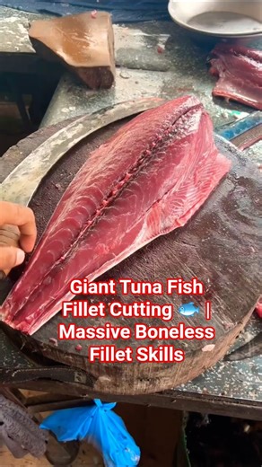 Giant Tuna Fish Fillet Cutting 🐟 #TunaFish #FishFillet #FishCutting #SeafoodShorts #FilletSkills