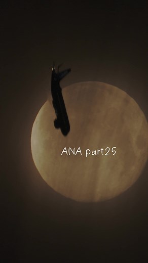 なんとなくUP「全日空ANA編-25」#ANA #aviation #allnipponairways