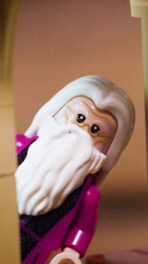 166K views · 594 reactions | You won't learn the truth about these secrets in Hogwarts: A History, we can tell you that much!  #DiscoverHarryPotter #SponsoredByLEGO | Harry Potter | Facebook