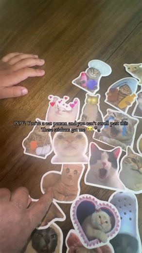 These are some funny cat stickers. The kids are obsessed. #stickers #scrapbooking #catlovers #catloversclub #catstickers