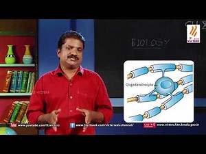 KITE VICTERS STD 10 Biology Class 03 (First Bell-ഫസ്റ്റ് ബെല്‍)