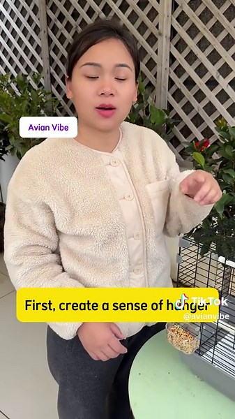 Effective Parrot Training Methods for Enthusiasts