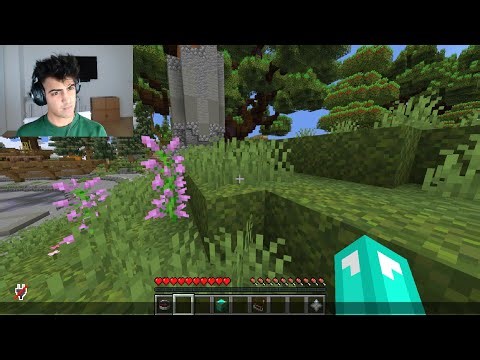 LIVE WITH FACECAM AGAIN (minecraft)