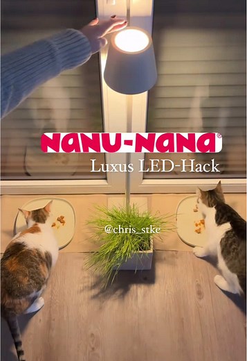 Geniale LED-Stehlampe für jedes Zuhause
