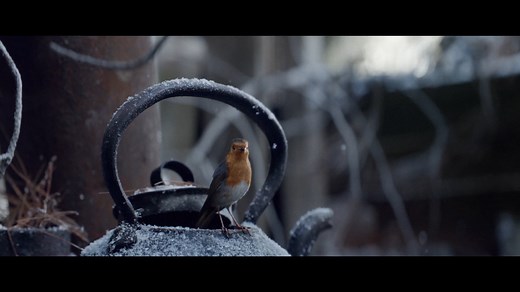 Waitrose - Coming Home