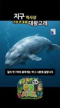 지구 역사상 가장 큰 동물 대왕고래