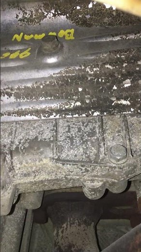 Porsche Bore Scoring Sound as Observed from Underneath the Car