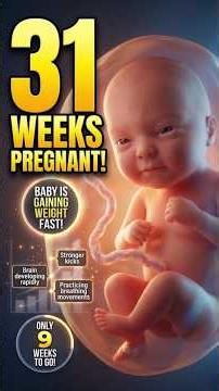31 Weeks Pregnant | Baby Development & Symptoms 🤰👶