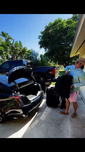 Pirate of the Caribbean 🛳️ | Alex Morrison