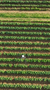 4.5K views · 105 reactions | We're excited to present a brand new season of Maryland Farm & Harvest on November 12th! Whether you enjoy farming, cooking, science, economics, or buying locally and supporting your community, there is something for everyone in this new season. As we count down to the premiere we will keep rolling out more photos, videos, bts and more. | Maryland Farm & Harvest | Facebook