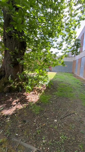 Abandoned university | Martin Urbex