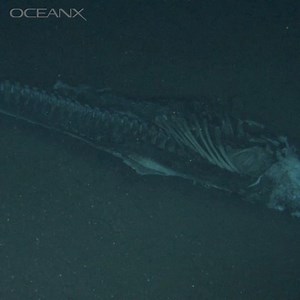 1M views · 432 reactions | If your party doesn’t have a thriving deep...