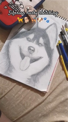 Siberian husky sketching 🦮🐕🐕‍🦺🐶🐾 #sketching