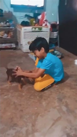 Name dilam Bogu❤❤🐶#My littile bugo#rescue puppy#bangla dog video