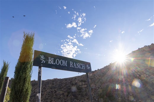 Prescribing Prevention: Doctors Turn to Lifestyle, Herbs and Veggies to Protect Against Chronic Illness in Black Californians - The Sacramento Observer