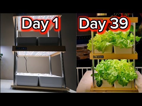 Growneer Hydroponic Indoor Garden System - HydroEasy Setup Guide