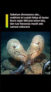 Sebelum Dinosaurus Lahir, Makhluk Ini Sudah Menguasai Lautan