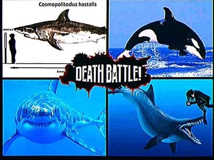 [论战斗兽]极限·宽齿鲭鲨+大白鲨VS虎鲸+合齿鲸