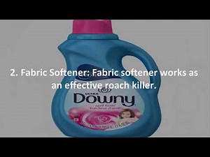 how to get rid of small cockroaches home remedy