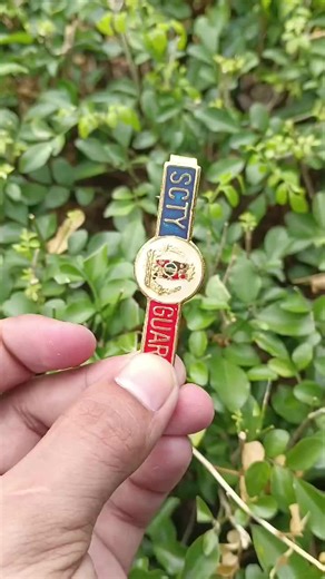 #necktieclip #necktie #clip #security