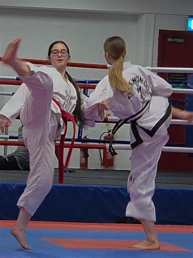 Taekwondo Training Highlights: Mastering Kicks