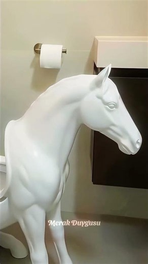 When I Saw My Friend's Toilet Like This... 😅