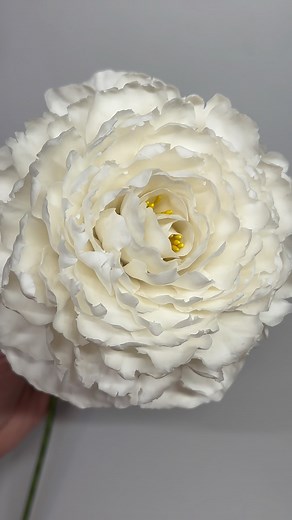 🤍Clay Peony🤍 It has been so long since I made one of these that I honestly forgot how and had to make it up as I went…but I feel like it worked out anyway 😁 #clayflowersbyanna #clayflower #clay #flowers #coldporcelain #coldporcelainflowers #airdryclay #handmade #diy #bridal #peony | Clay Flowers By Anna